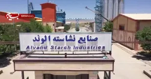 بازگشت دوباره صنایع نشاسته الوند به چرخه تولید پس از 14 سال
