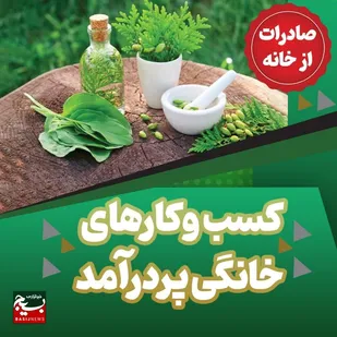 آشنایی با شغل&zwnj;های پردرآمد خانگی / چگونه از درون منزل، درآمدزایی داشته باشیم + فیلم