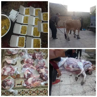 آغاز مرحله دوم کمک مومنانه و راه اندازی پویش نذرقربانی به یاد شهید سپهبد حاج قاسم سلیمانی/رفسنجان + تصاویر
