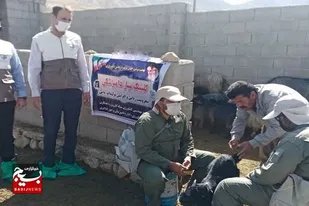 برگزاری رزمایش تخصصی سراسری جهاد ملی امنیت غذایی پایدار در کازرون