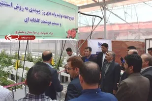 افتتاح گلخانه تولید گل رز در چهارمحال  بختیاری