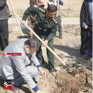 آغاز درختکاری در محور آبیک به قزوین توسط بسیج سازندگی