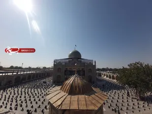 نهضت شمیم حسینی