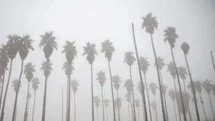 پیش&zwnj;بینی تداوم مه و غبار صبحگاهی در خوزستان