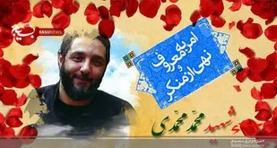 برخورد قاطعانه با مسببان شهادت محمد محمدی / غیرت دینی و ملی همچنان جاری  است