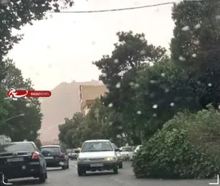هشدار وزش باید شدید در پایتخت