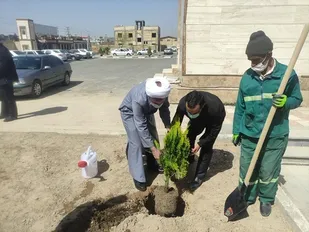 کاشت نهال به نام شهدا در بهارستان