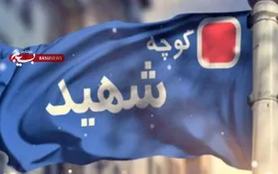نامگذاری چند خیابان پایتخت به نام شهدای سلامت