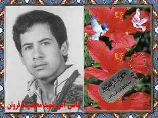 زندگینامه دانش&zwnj;آموز شهید &laquo;محمدرضا فروتن&raquo;