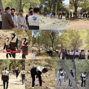 تلاش سازمان بسیج جامعه کشاورزی سپاه فتح برای احیای جنگل های زاگرس/ ۲۰ هزار بذر بلوط جمع آوری می شود