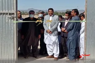 ظرفیت تولید گوشت مرغ در سیب و سوران به۳۸۵۰ تن در سال ارتقا یافت