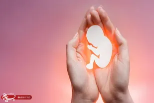 همایش حمایت از جنین در اسدآباد برگزار شد