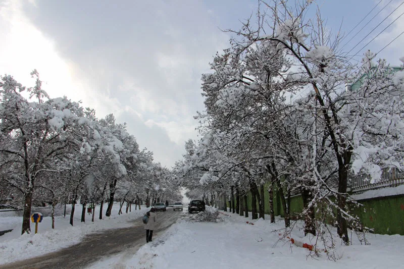 بارش برف سنگین در استان همدان