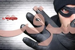 کشف ۶ فقره سرقت در بهار