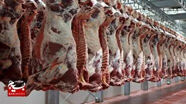 نظارت دامپزشکی خوزستان بر عرضه و کشتار بهداشتی و شرعی دام