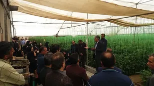 برگزاری برنامه ملی روز مزرعه در شاهرود+ تصاویر