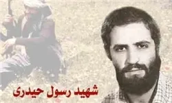 «رسول حیدری» شهید شاخص استان همدان در سال 95