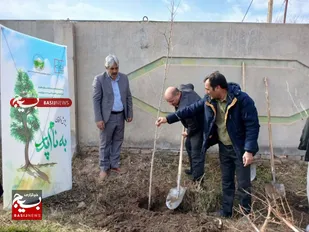 آغاز پویش کاشت درخت در شهرستان جغتای