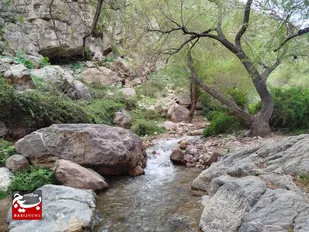 زیبایی&zwnj;های وصف&zwnj;ناپذیر آبشار "ابدال&zwnj;آباد" بخش نصرآباد در قاب دوربین بسیج