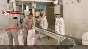 اختصاص بیش از 400 هزار تن آرد در دولت سیزدهم برای استان زنجان