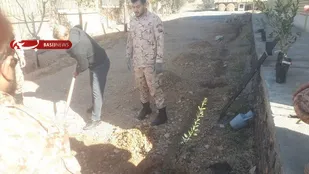 ترویج فرهنگ درختکاری و توسعه فضای سبز