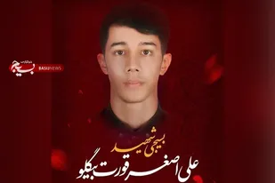 برادرم دوست داشت راه شهید حججی را ادامه دهد