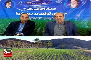سطح زیر کشت دیمزارهای سیستان و بلوچستان به بیش از ۳۳۰۰هکتار رسید