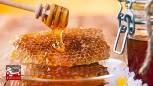 تولید سالانه ۵۰ تن عسل در بردسکن؛ رونق صنعت زنبورداری و اشتغال‌زایی