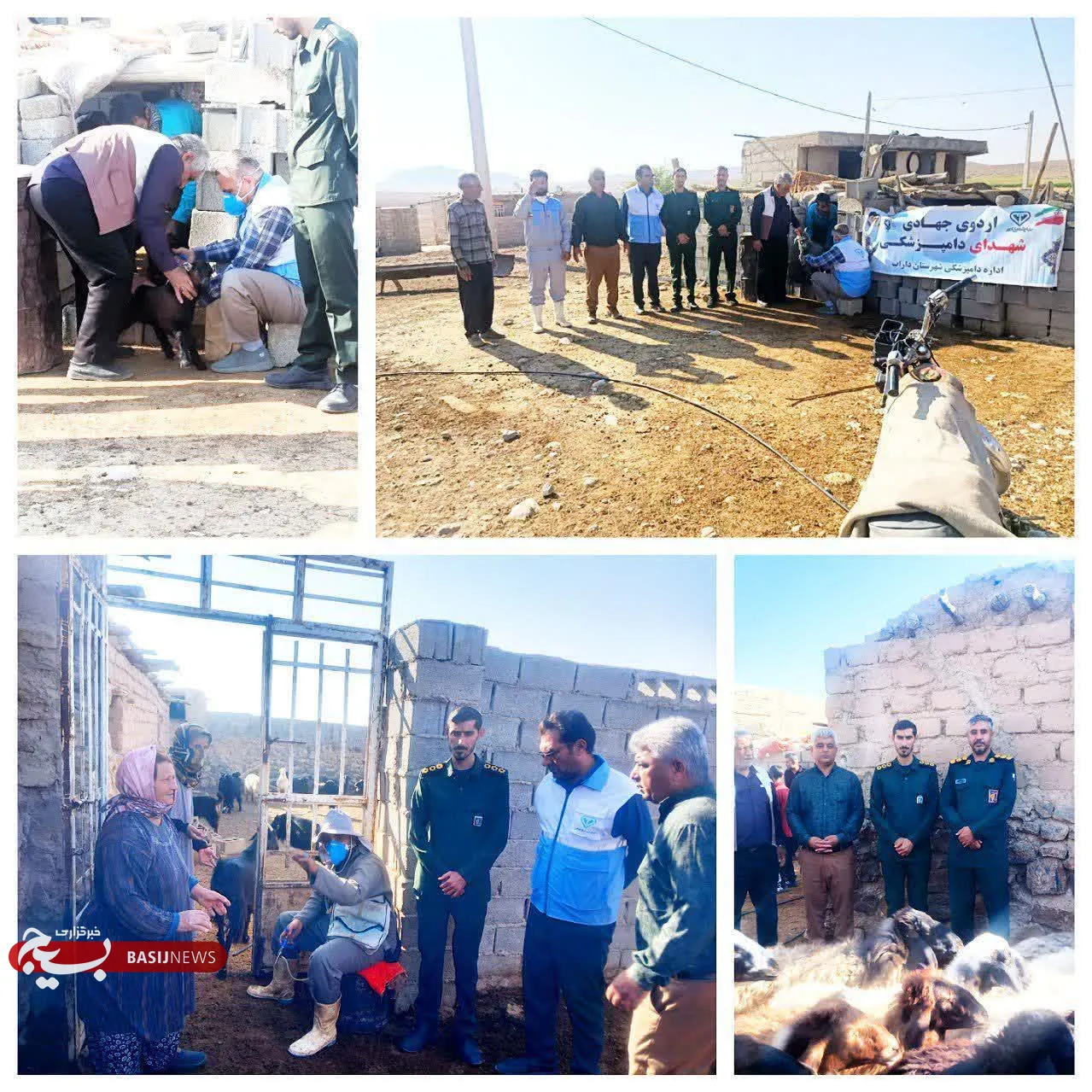 واکسیناسیون دام عشایری