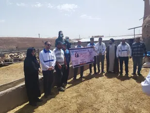 واکسیناسیون رایگان ۵ هزار رأس دام در عقدا