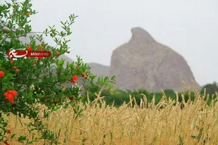 روستای اسلامیه؛ شهیدیه شهرستان تفت