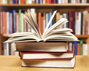 70 جلد کتاب به ازای هر شهروند در کتابخانه&zwnj;های بهار وجود دارد