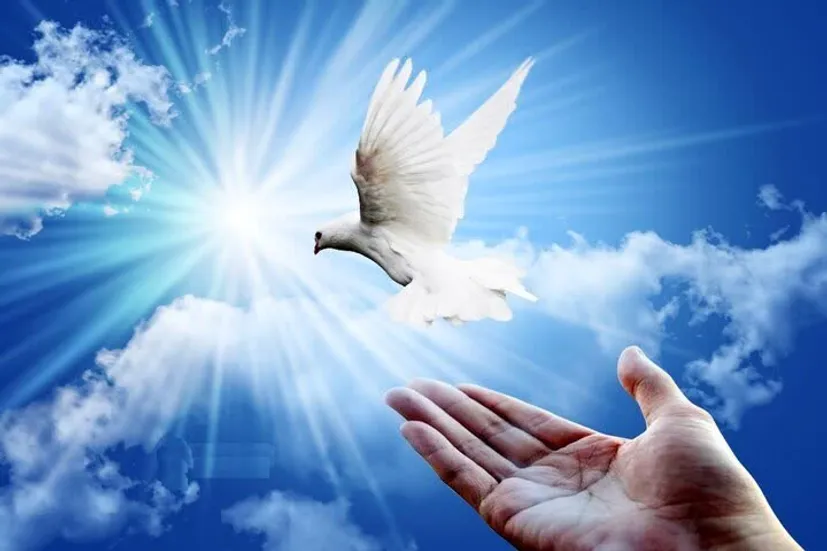 نجات محکوم به قصاص نفس در قزوین با گذشت اولیای دم