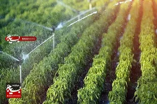 ساخت سامانه خودکار انتقال آب کشاورزی مبتنی بر اینترنت اشیا