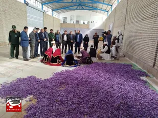 حمایت ۳۰ میلیارد تومانی بسیج خراسان رضوی از صنایع کشاورزی