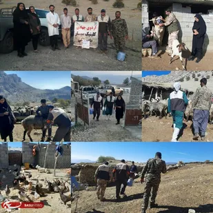 برگزاری اردوی جهادی کانون بسیج جامعه کشاورزی در باشت/ ۴۵۰۰ راس دام و سه هزار قطعه طیور واکسینه شدند