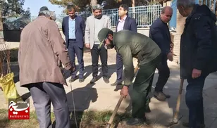 پویش درختکاری در کتابخانه عمومی شهید باهنر کاخک اجرا شد