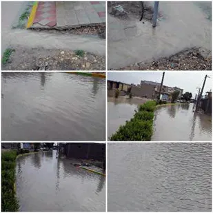 بارش باران در استان بوشهر