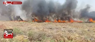 مهار حریق ۲۵ هکتاری در نهالستان ۷۵۰ هکتاری