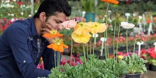 فروش 15 هزار تومانی هر شاخه&zwnj;گل رُز در بوشهر/ گل ها از کورس گرانی عقب نماندند