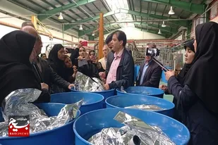 صادرات نزدیک پنج هزار تن محصول از یک واحد احیاشده در تبریز