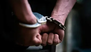 کشف ۴ تن چوب تاغ قاچاق در شاهرود