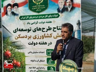 ۱۷ میلیارد تومان پروژه کشاورزی در بردسکن افتتاح شد