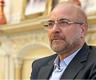 بازگشت ناوگروه نیروی دریایی نمایش اقتدار ارتش بود