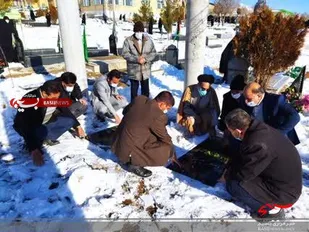همزمان با مبارک دهه فجر مهمانی لاله ها