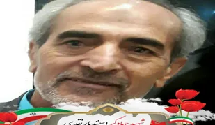 جهادگر اربعینی آسمانی شد