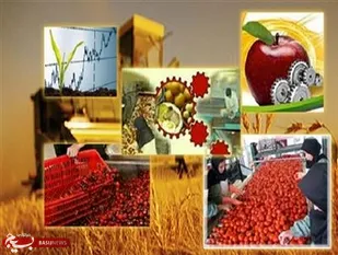 اجرای دوهزار طرح اشتغالزایی بنیاد برکت در آذربایجان شرقی