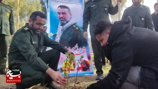 کاشت نهال بیاد شهید عبدالحسین مجدمی مقدم در شادگان