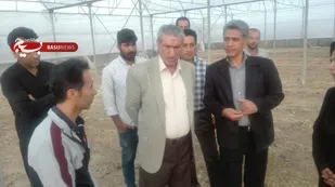 هزار تن، انگور آسیب دیده باغداران شاهرود خریداری می شود