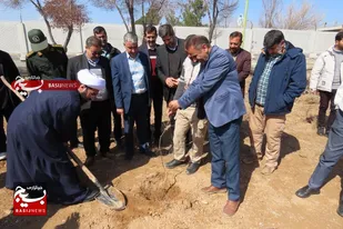 غرس 600 نهال درخت مثمر در ناحیه لنجان